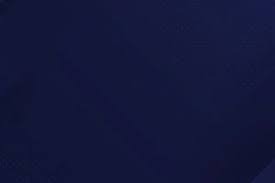 半场战报：乌迪内斯0-1热那亚，马利诺夫斯基点射